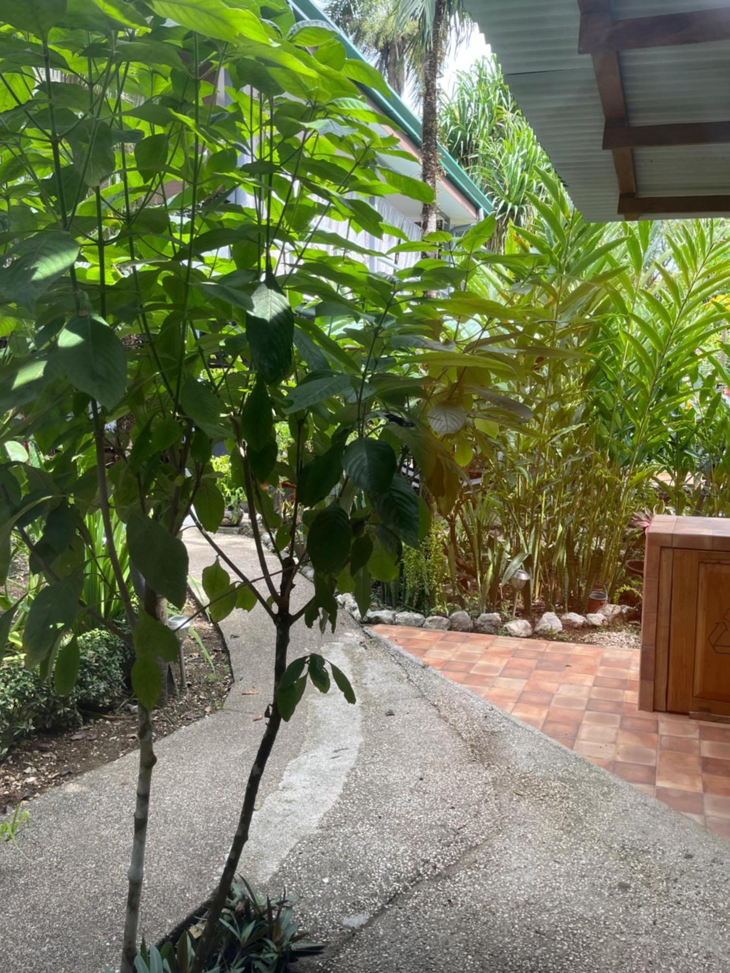 Hotel Entre Dos Aguas Sámara Екстериор снимка